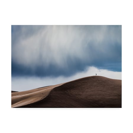 John Fan 'Storm Chaser Desert' Canvas Art,18x24